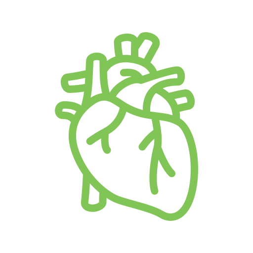 heart