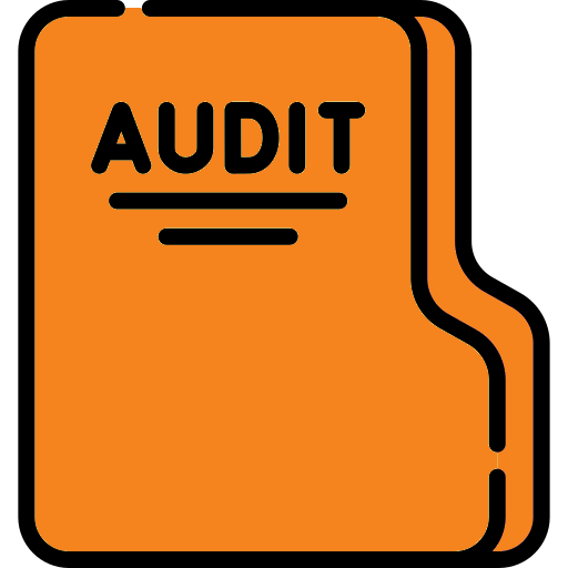 audit (2)